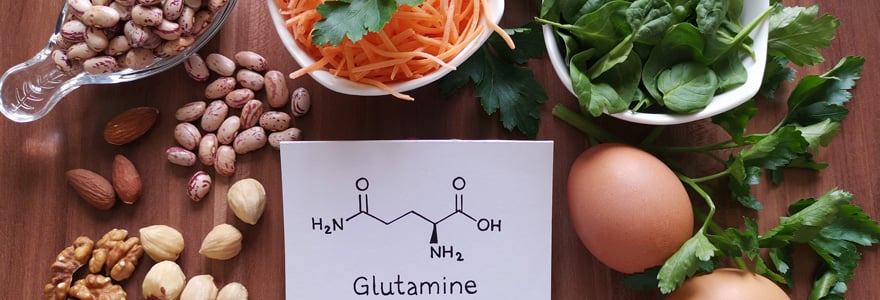 glutamine